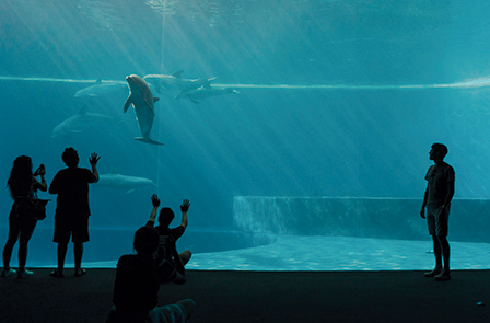 Genova e l'Acquario